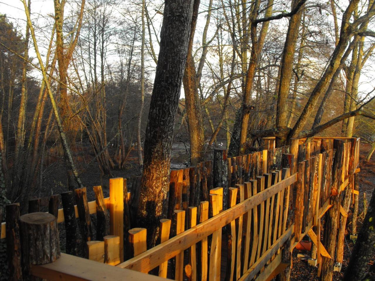 Cabane Des Cerfs Allons  Экстерьер фото